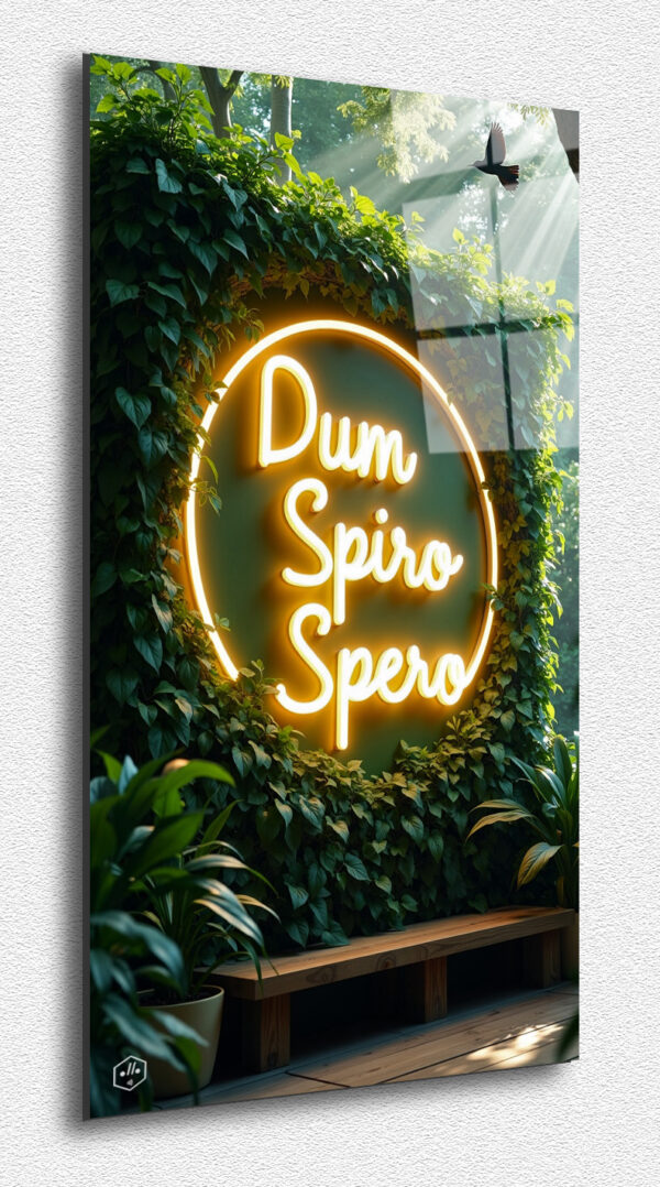 Dum Spiro Spero