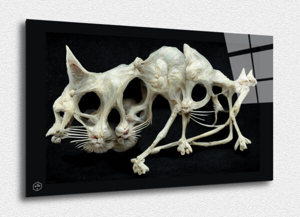 A skeletal cat restructured in homage to Picasso.