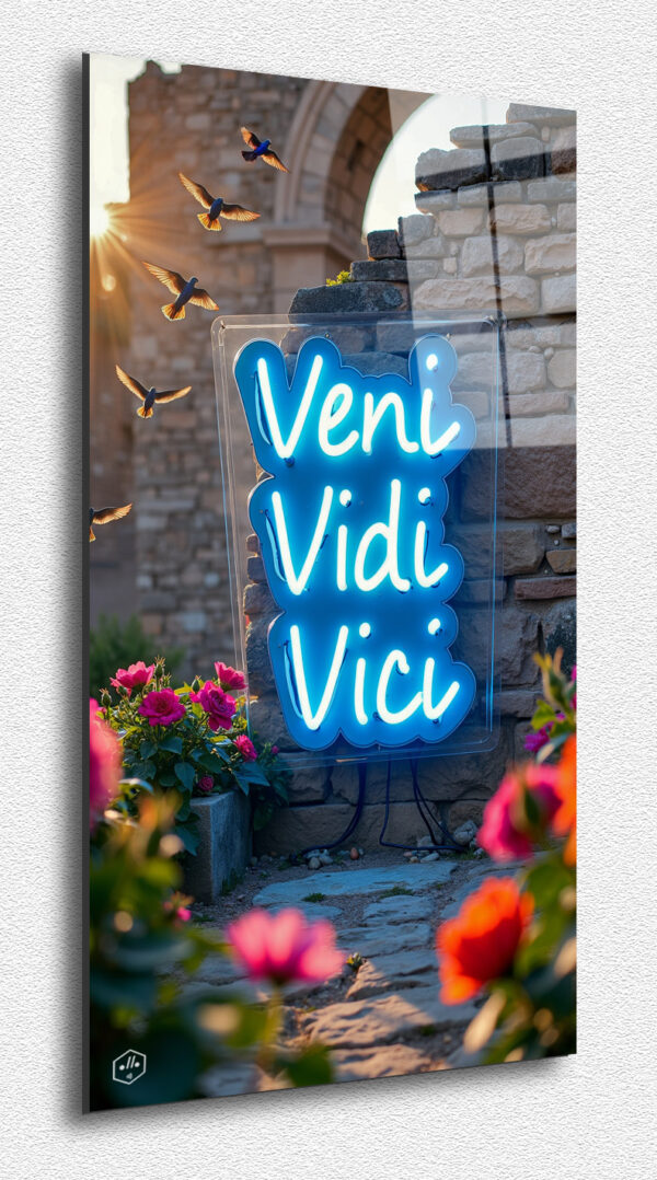 Veni Vidi Vici