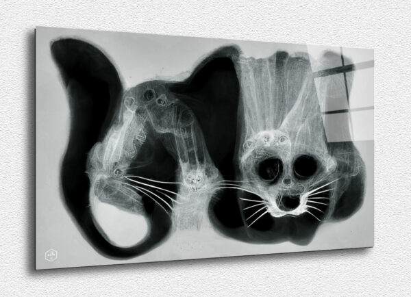 A surreal X-ray of an imaginary feline form.
