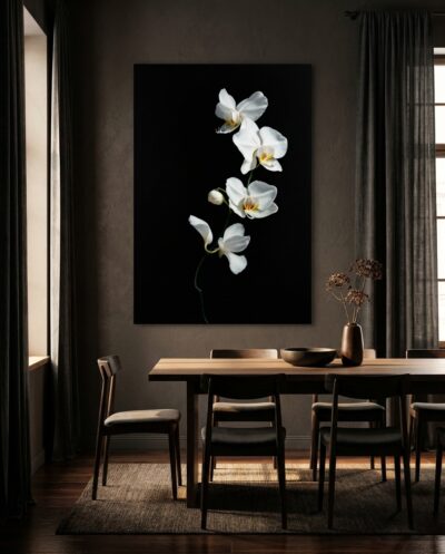 A white orchid stem arches out of darkness, its waxy blooms glowing with cool, almost otherworldly calm.