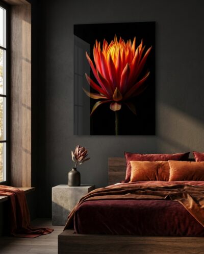 A king protea blazes orange and red from the dark, its pointed bracts radiating like a slow flame held against pure black.