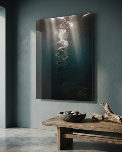 A shoal spirals downward through narrowing shafts of light, dissolving into deep teal darkness as copper bodies vanish into the cold below.