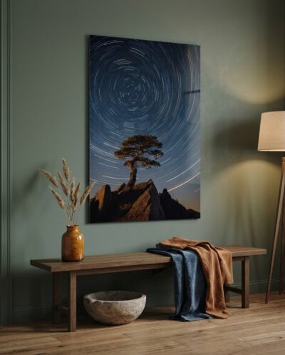 Concentric star trails wheel across the deep night sky, tracing cosmic orbits above a resilient pine anchored upon granite peaks.